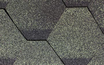 Gravenhunger Moss fibreglass shingle repairs