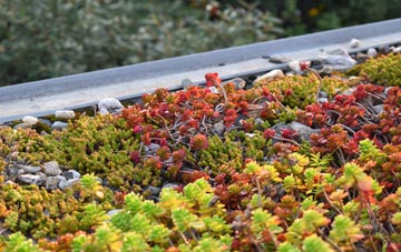 the cost of Gravenhunger Moss green roof installation