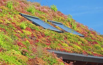 Gravenhunger Moss living roof systems