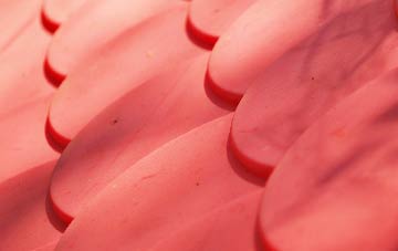 Gravenhunger Moss plastic roof costs