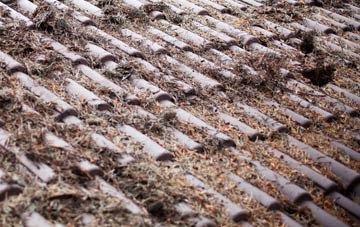 Gravenhunger Moss roof cleaning companies