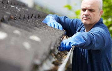 cleaning and inspecting Gravenhunger Moss roofs
