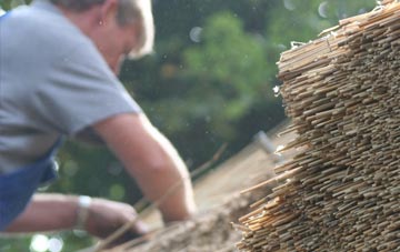 professional Gravenhunger Moss thatchers