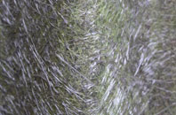 Gravenhunger Moss fibreglass roof work