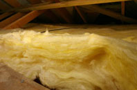 Gravenhunger Moss pitch roof insulation